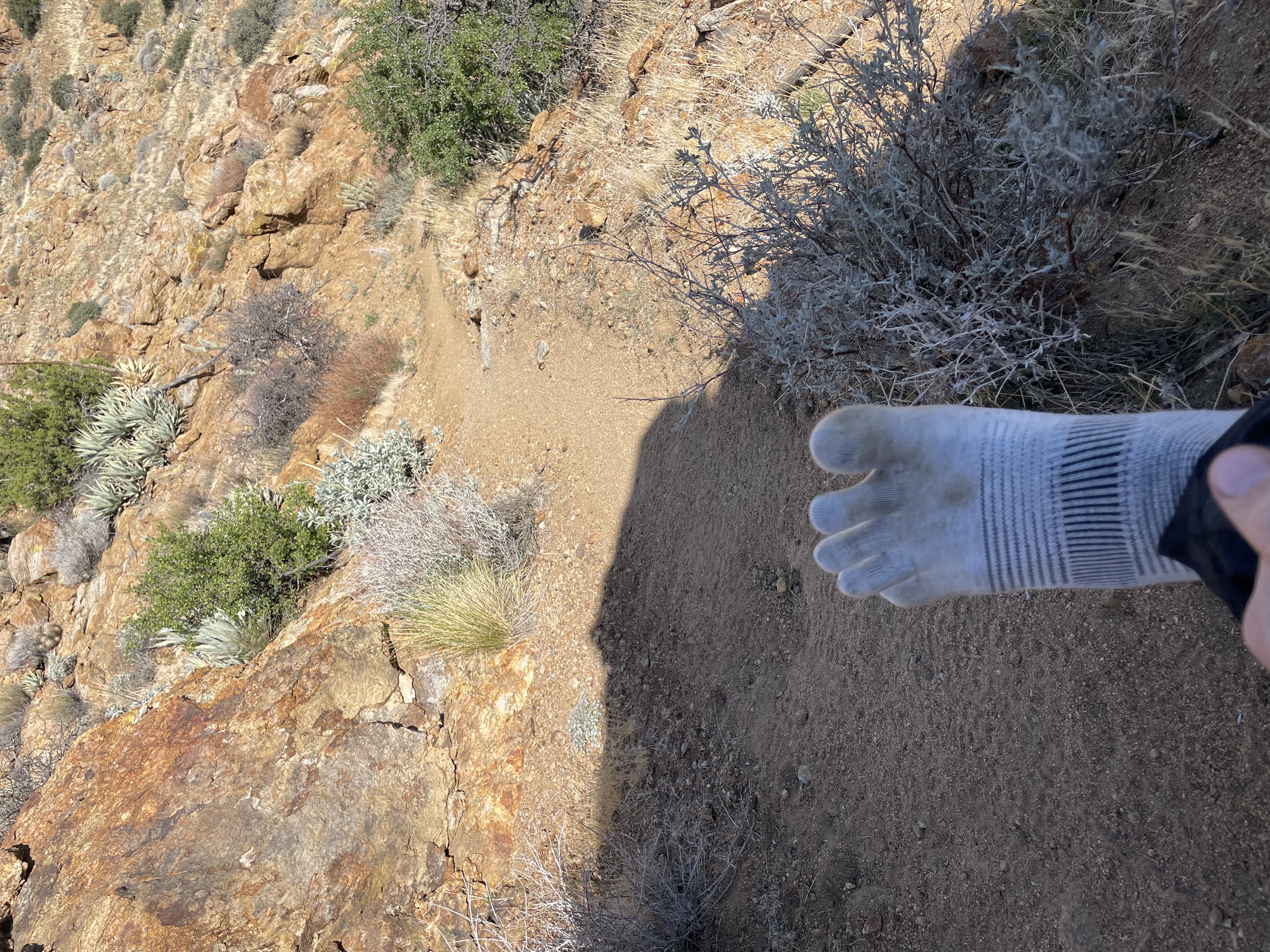 socks