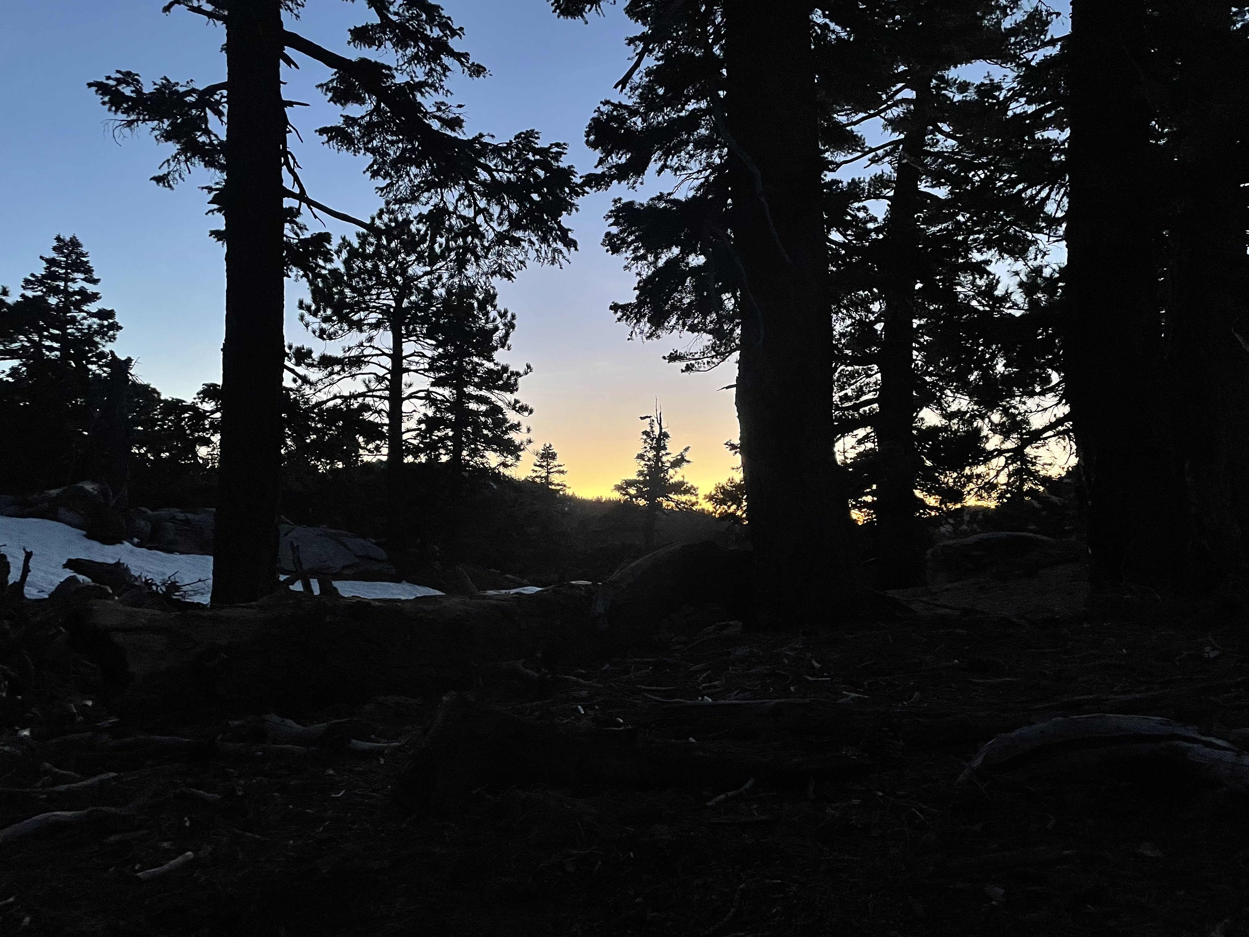 sunset