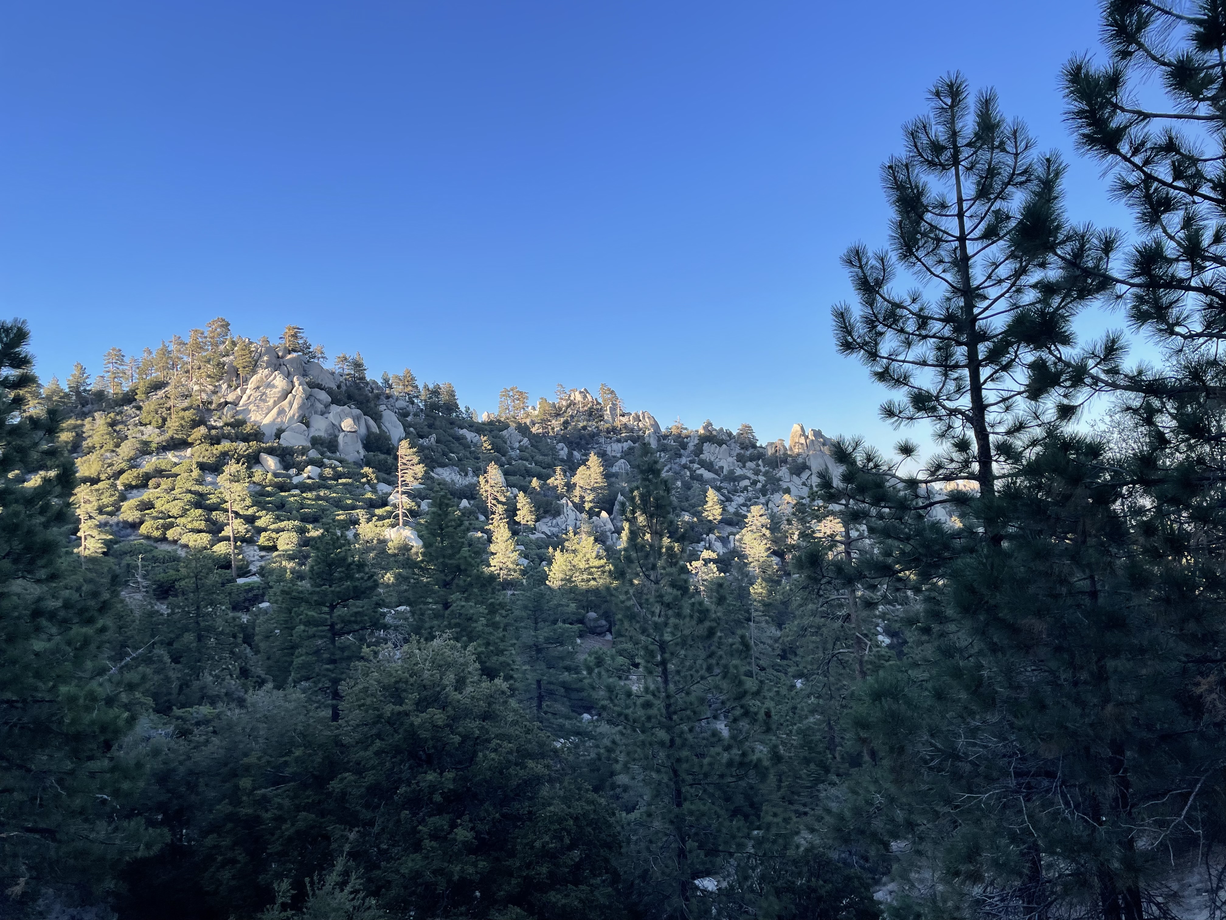 rocks