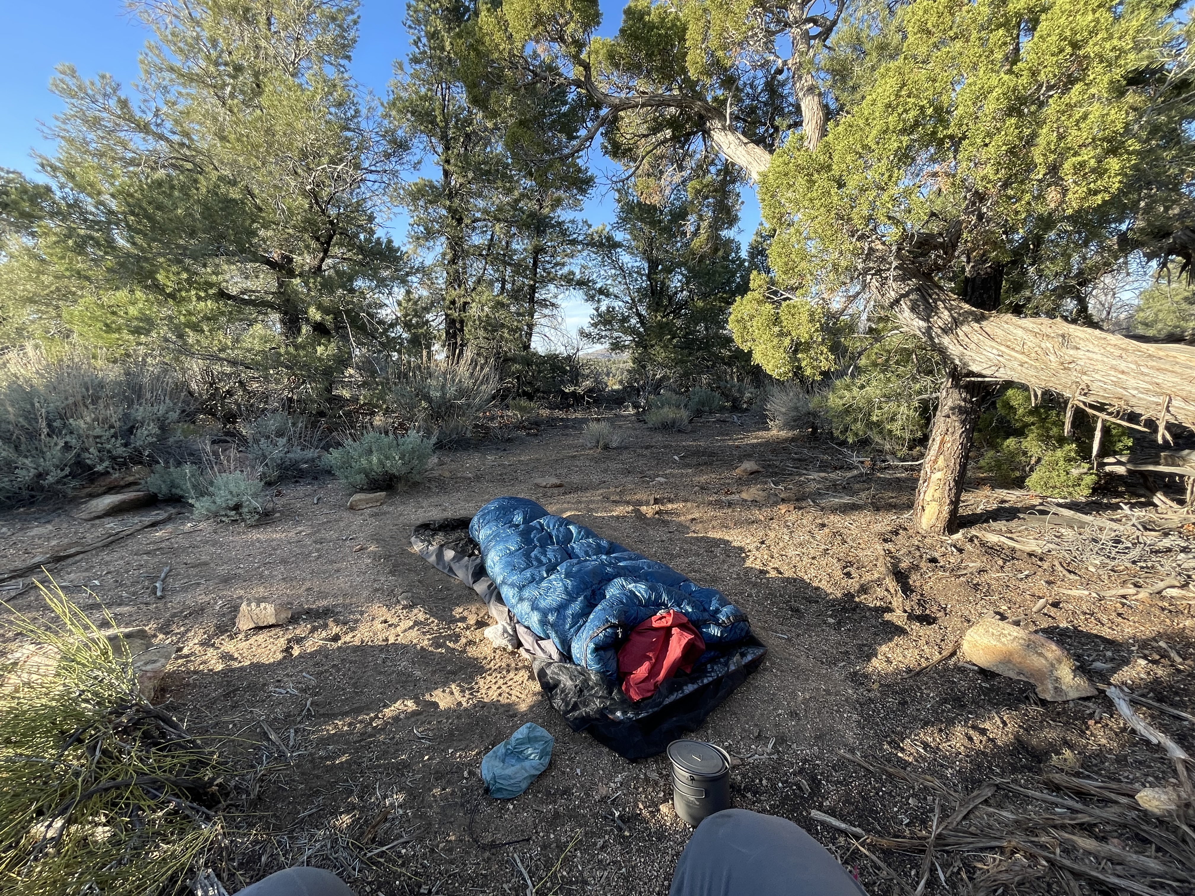 camp