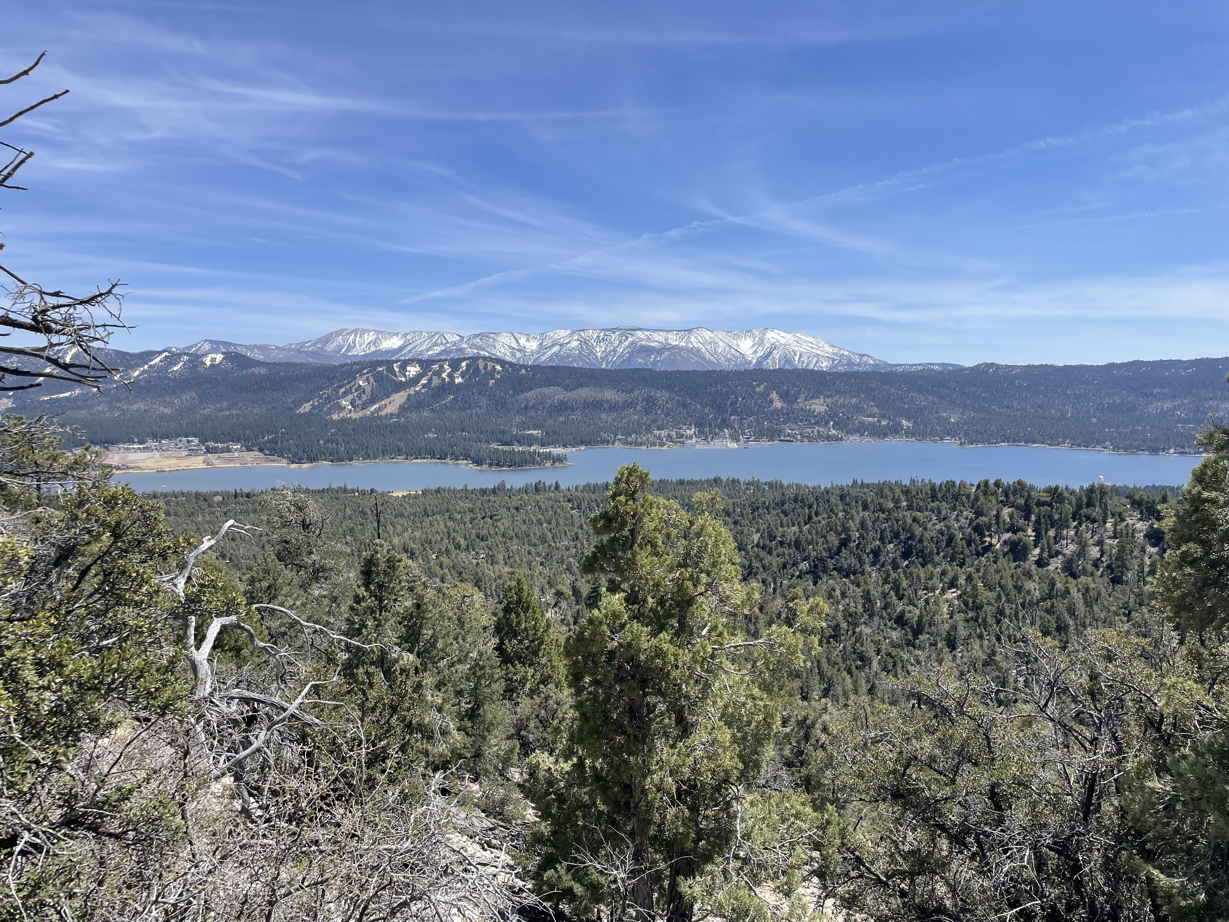 view