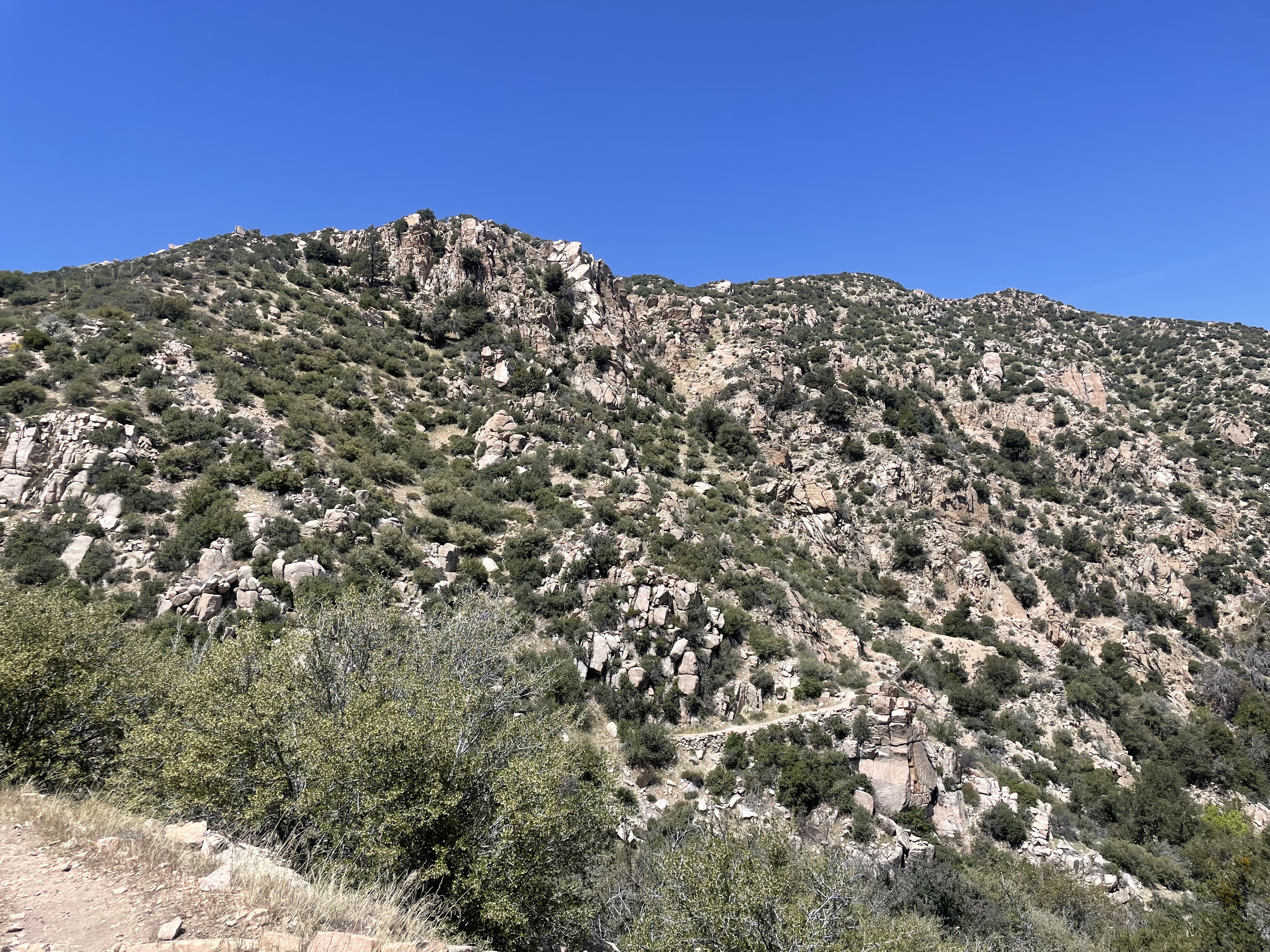rocks
