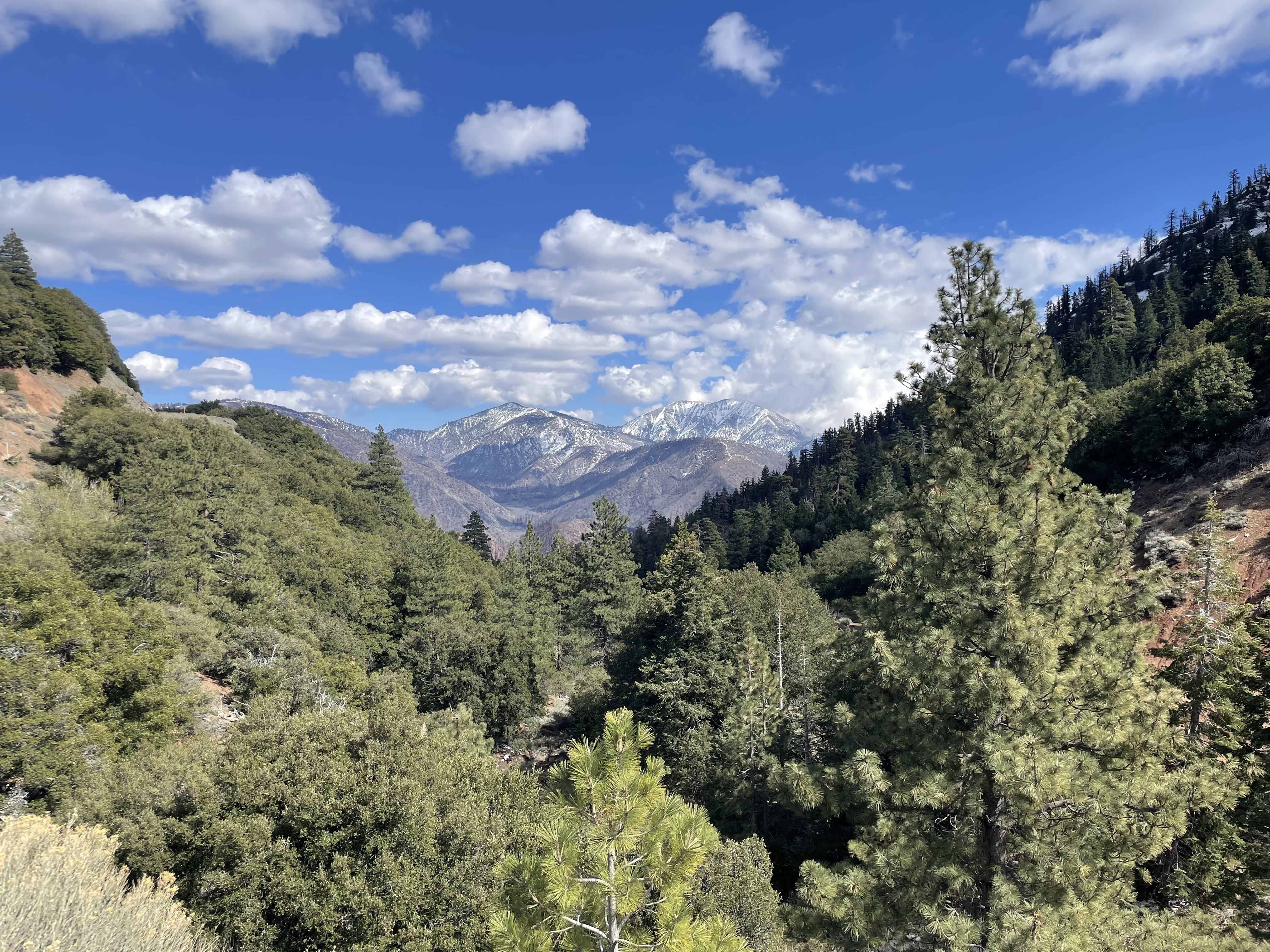 vista