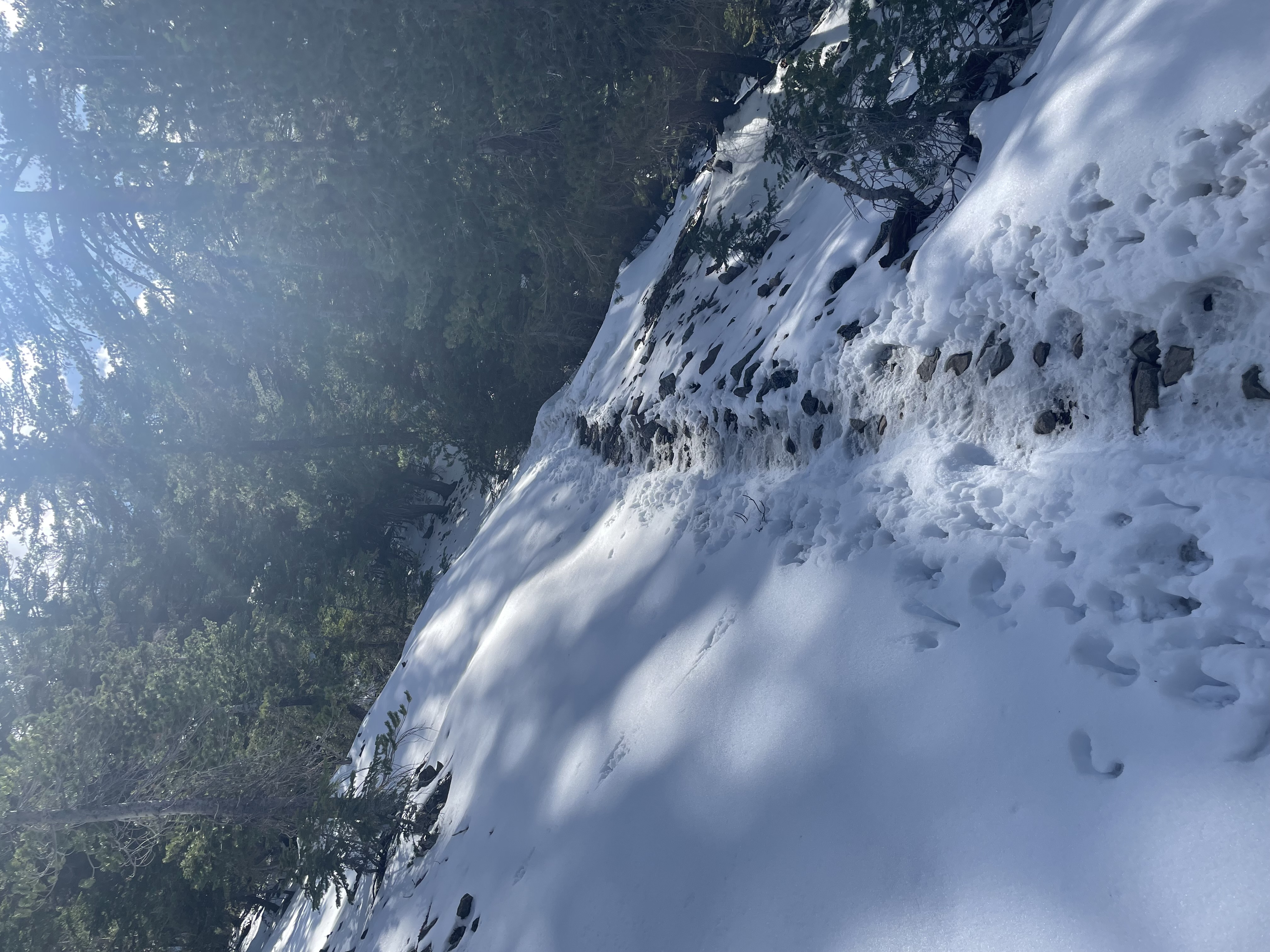 snow