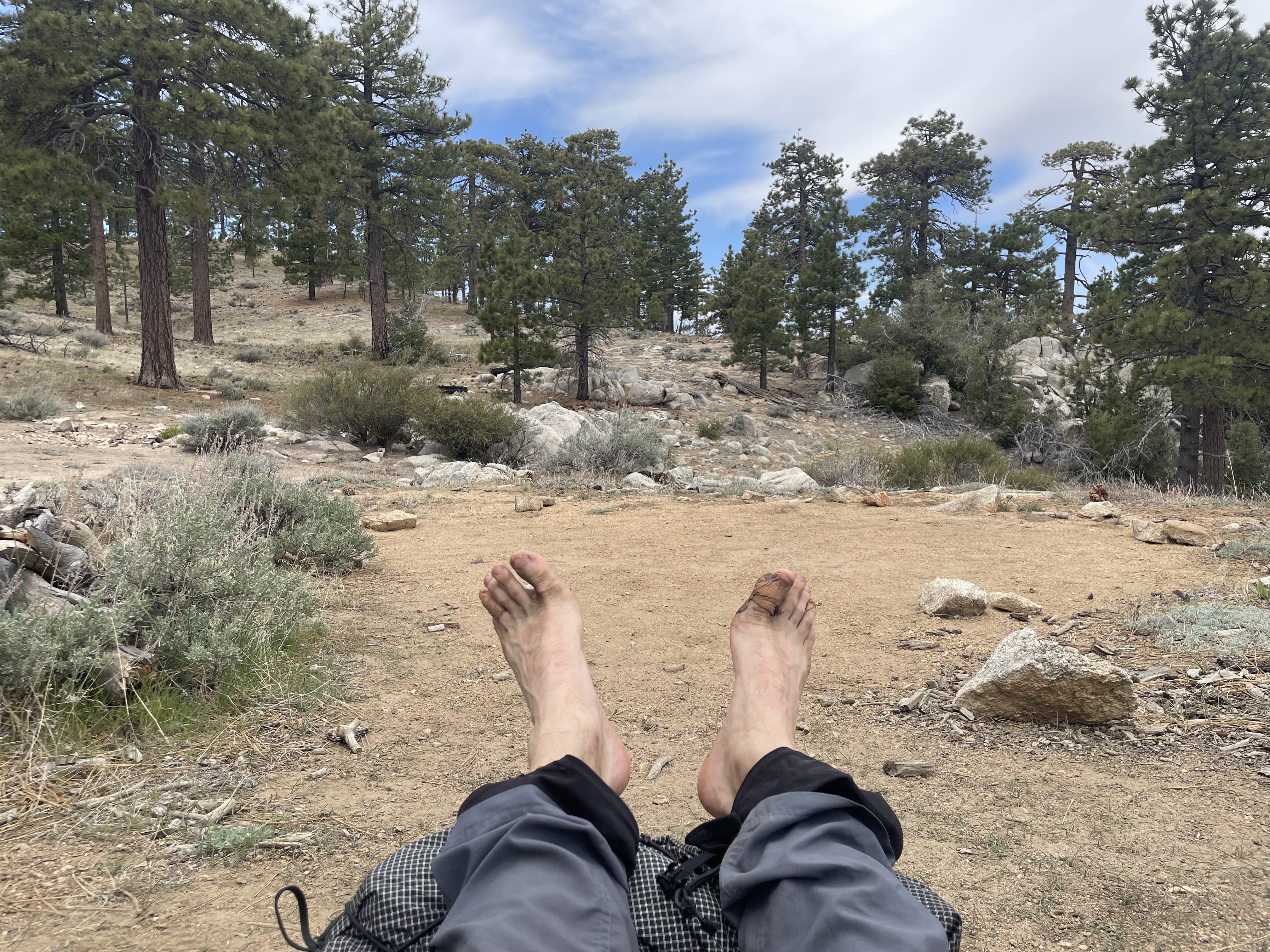 feet