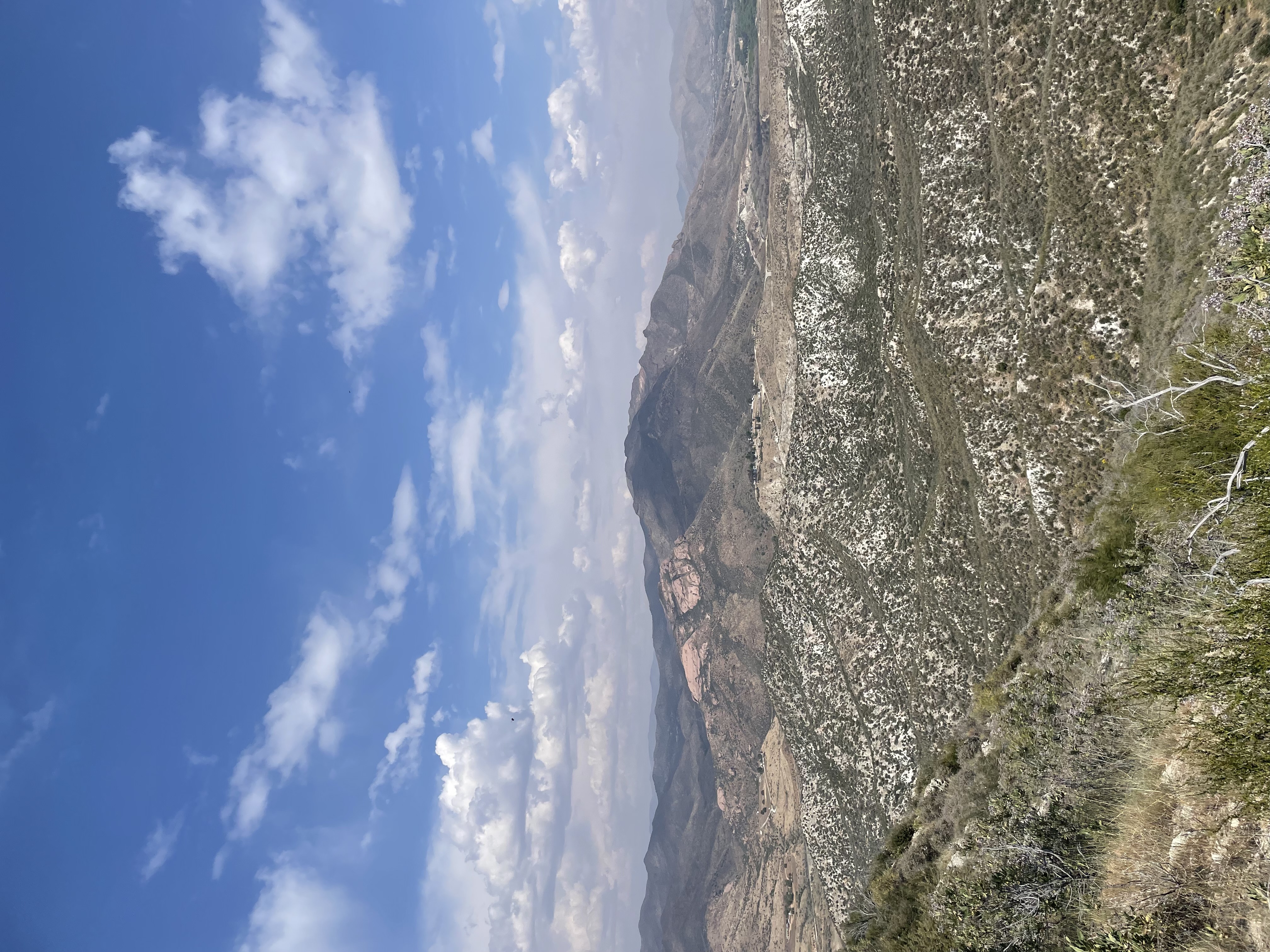 view