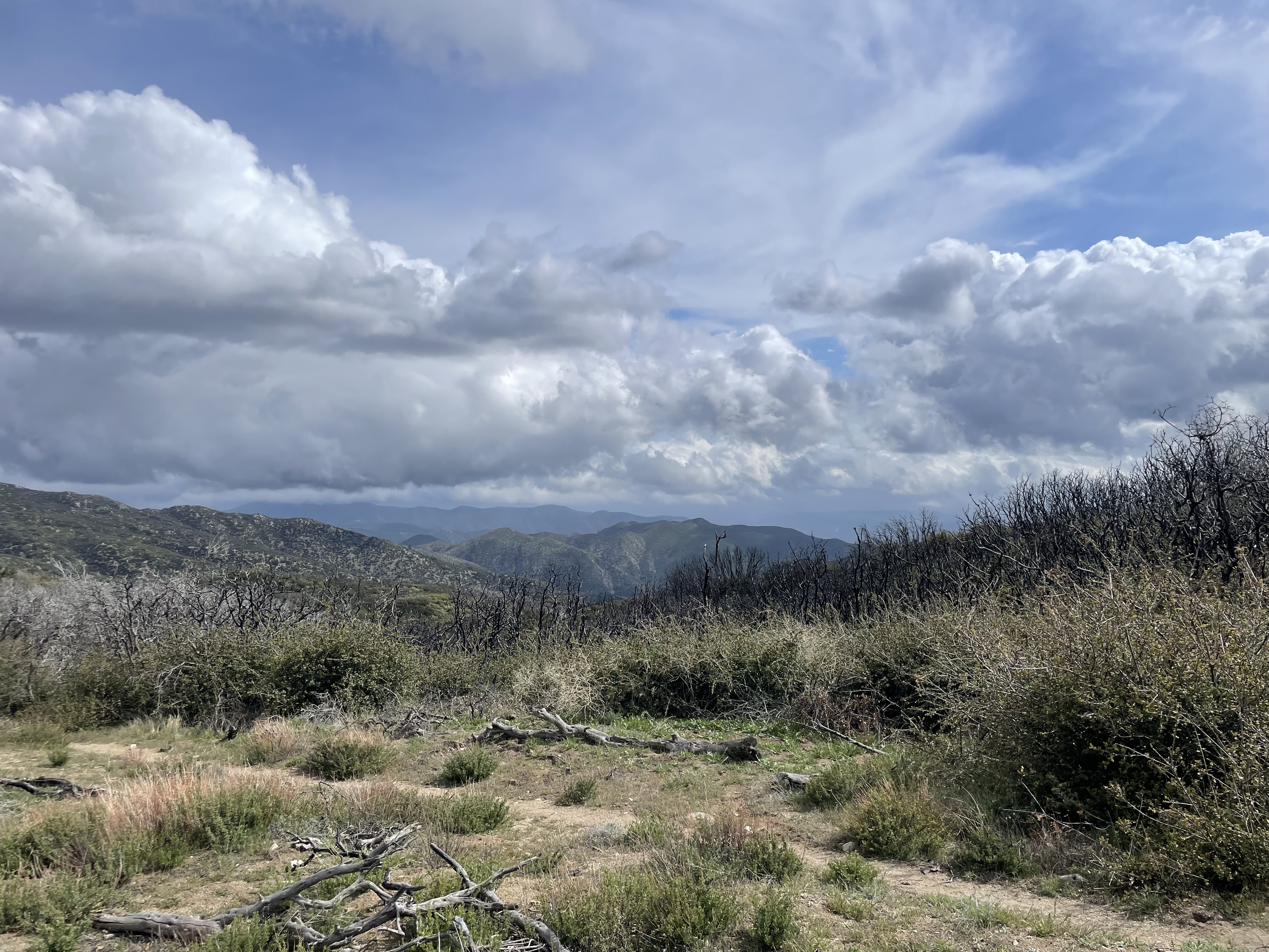 view