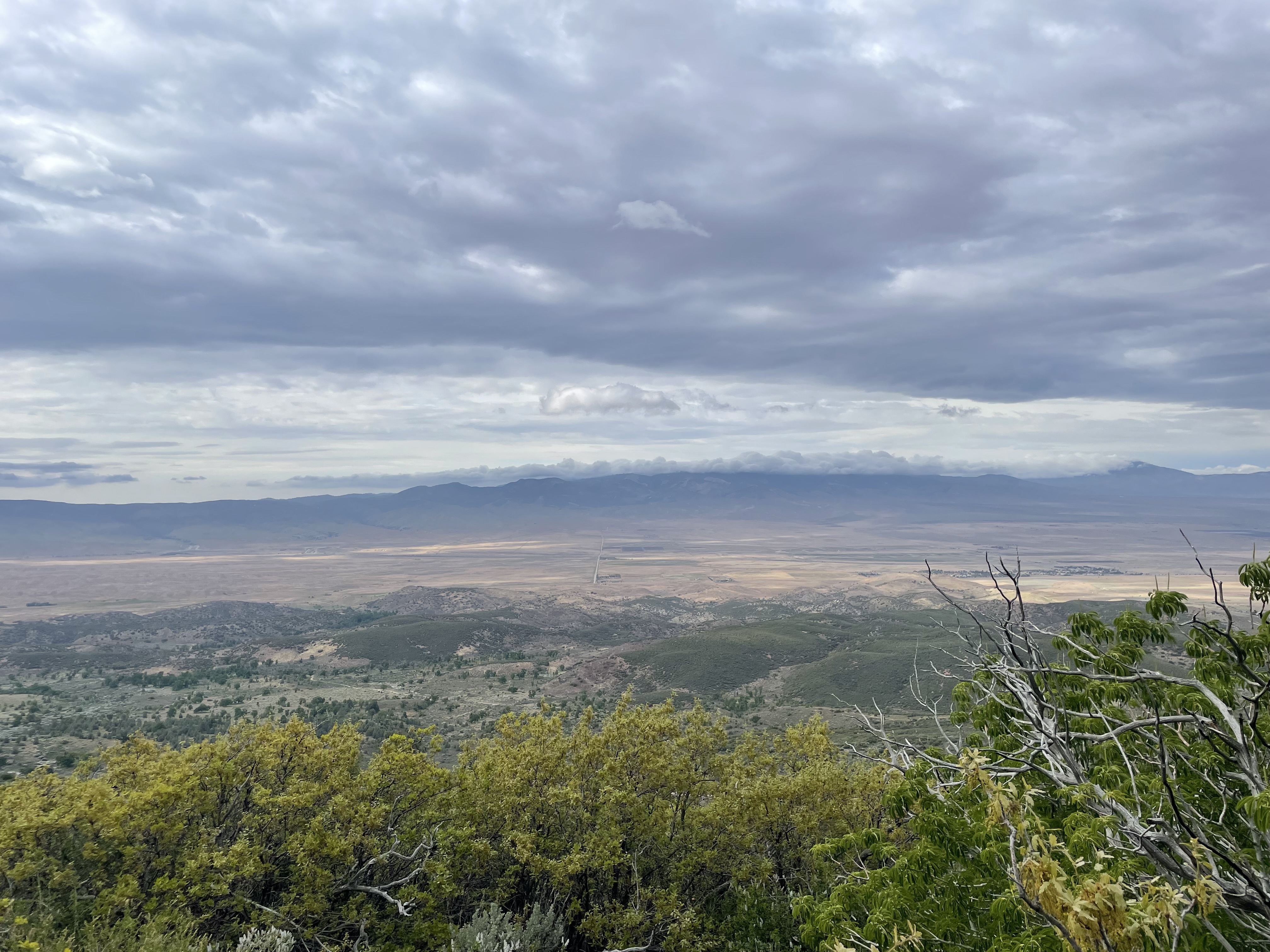view2