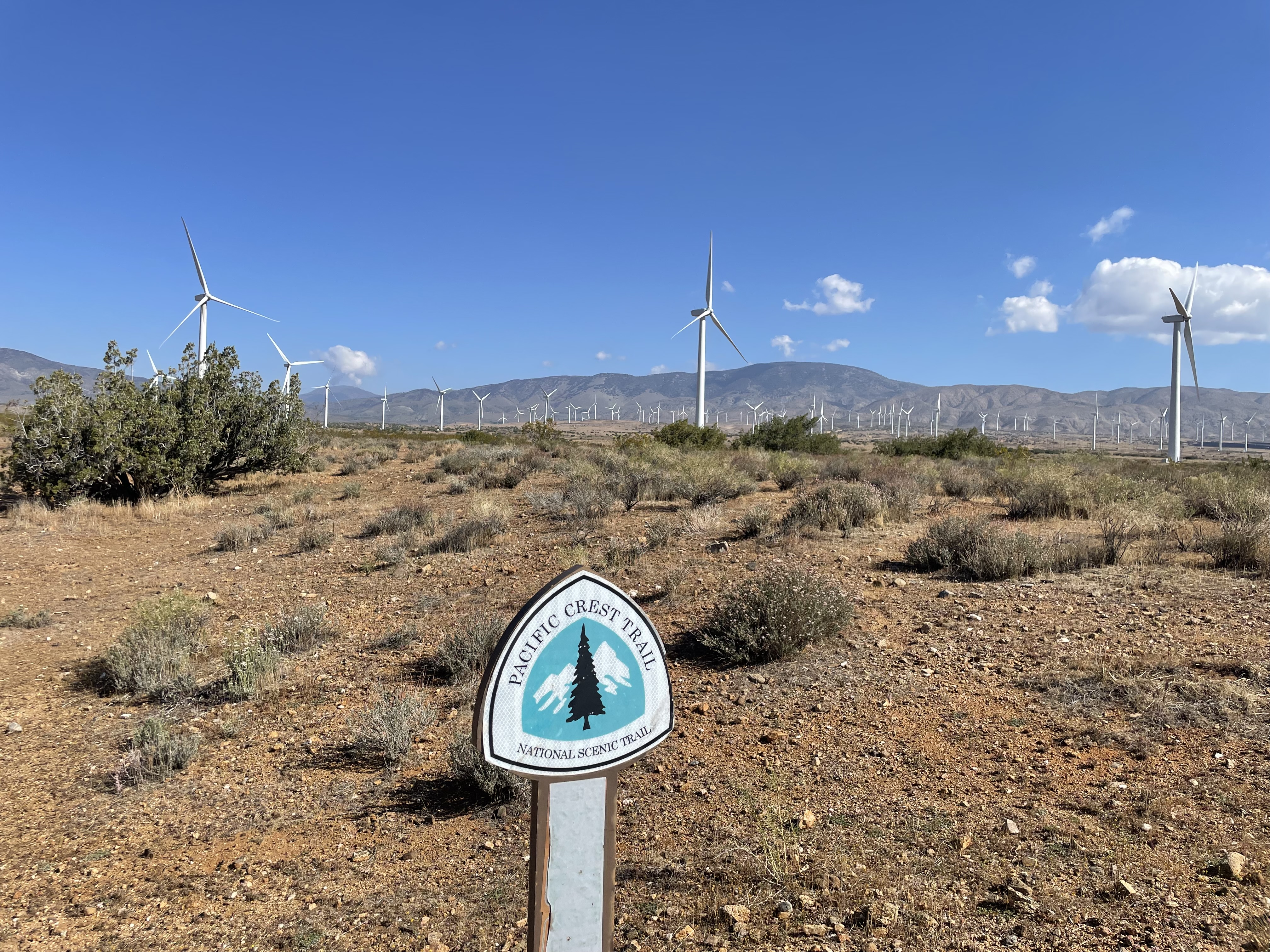 wind