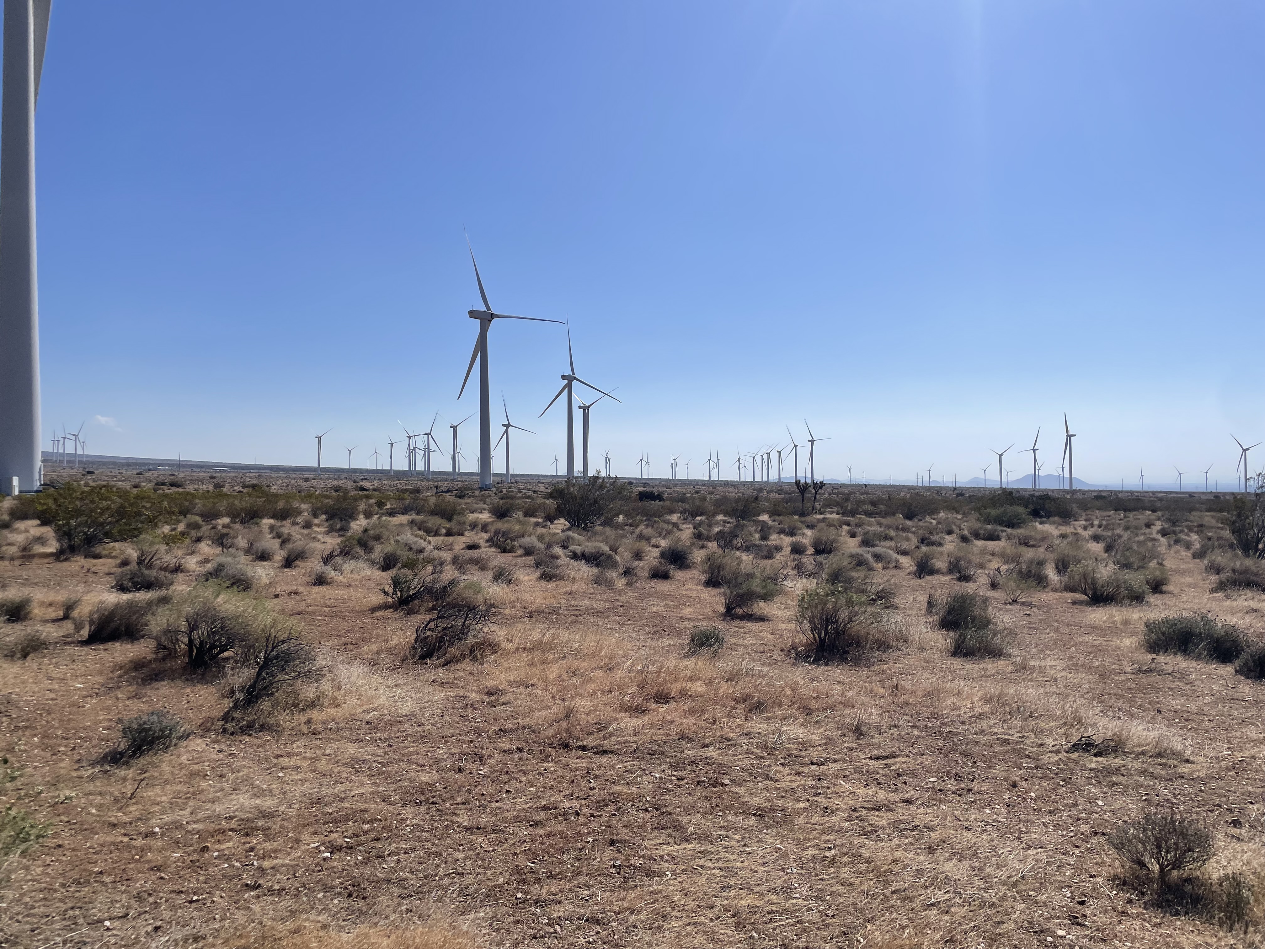 wind