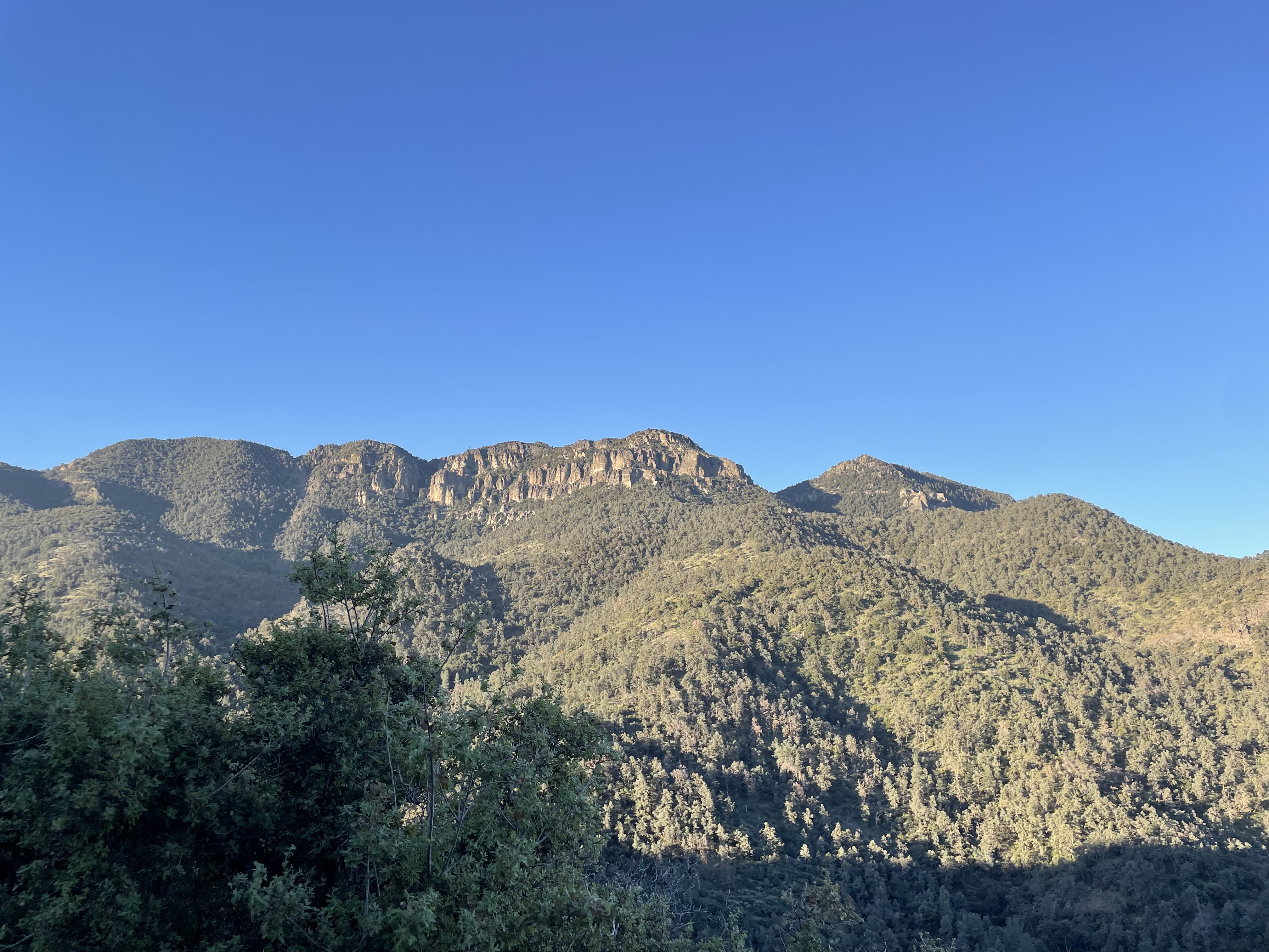 view