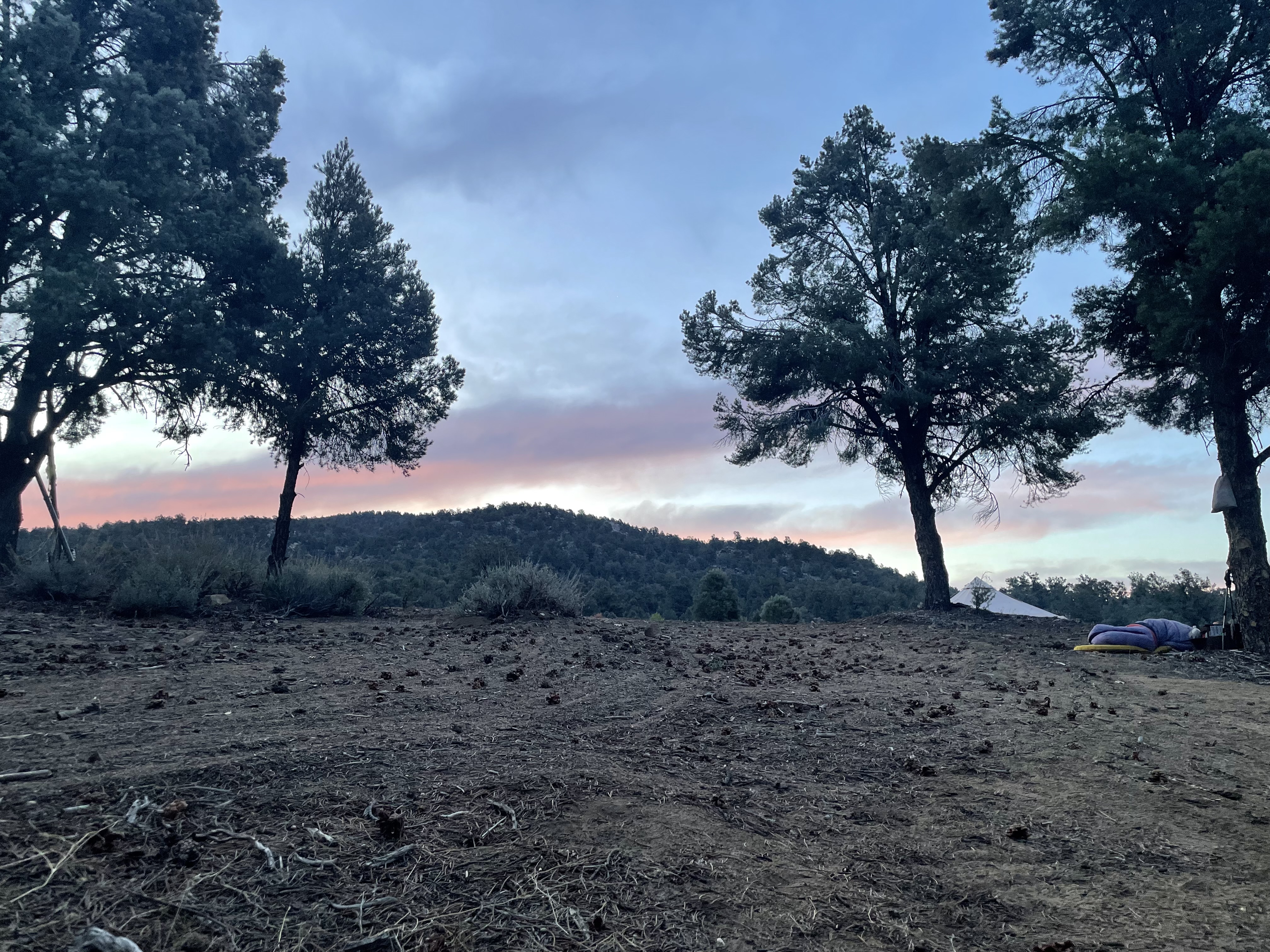 view